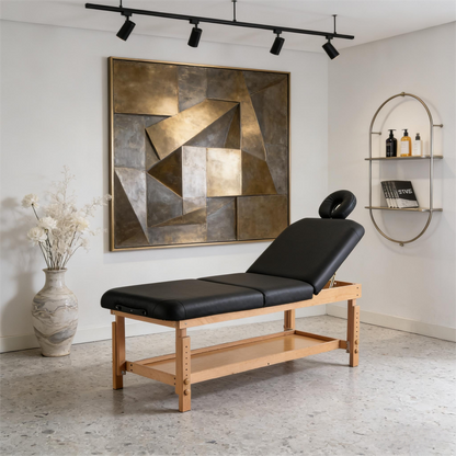 Professional Folding Massage Table Home Beauty Therapyspabed